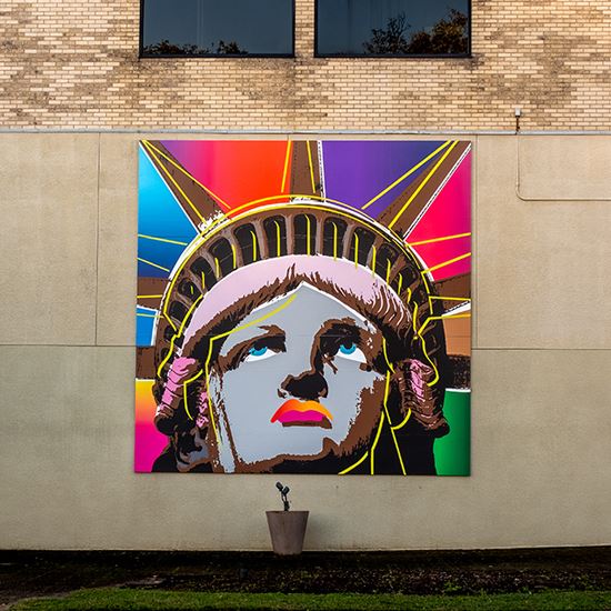 Colorful Lady Artwork