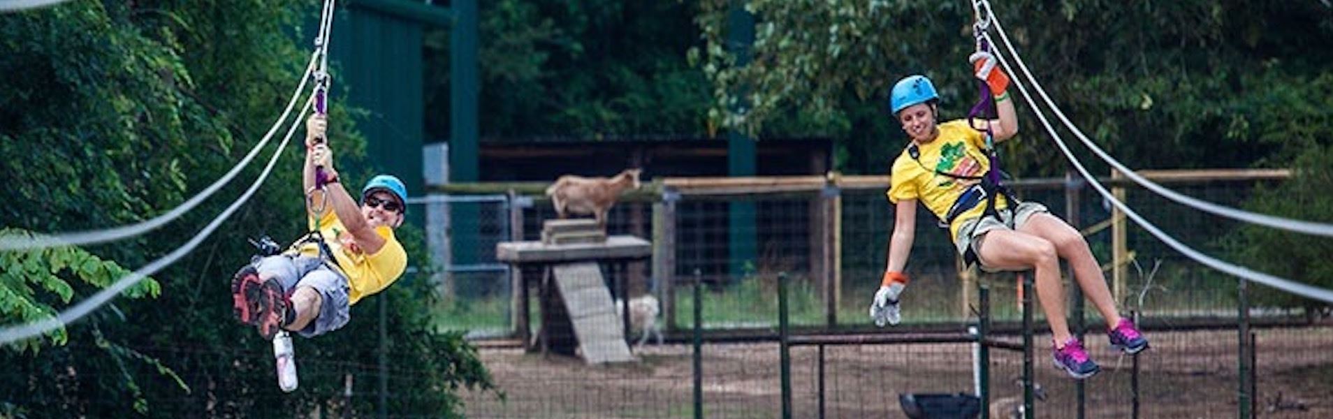 GatorsAndFriends_1920x600