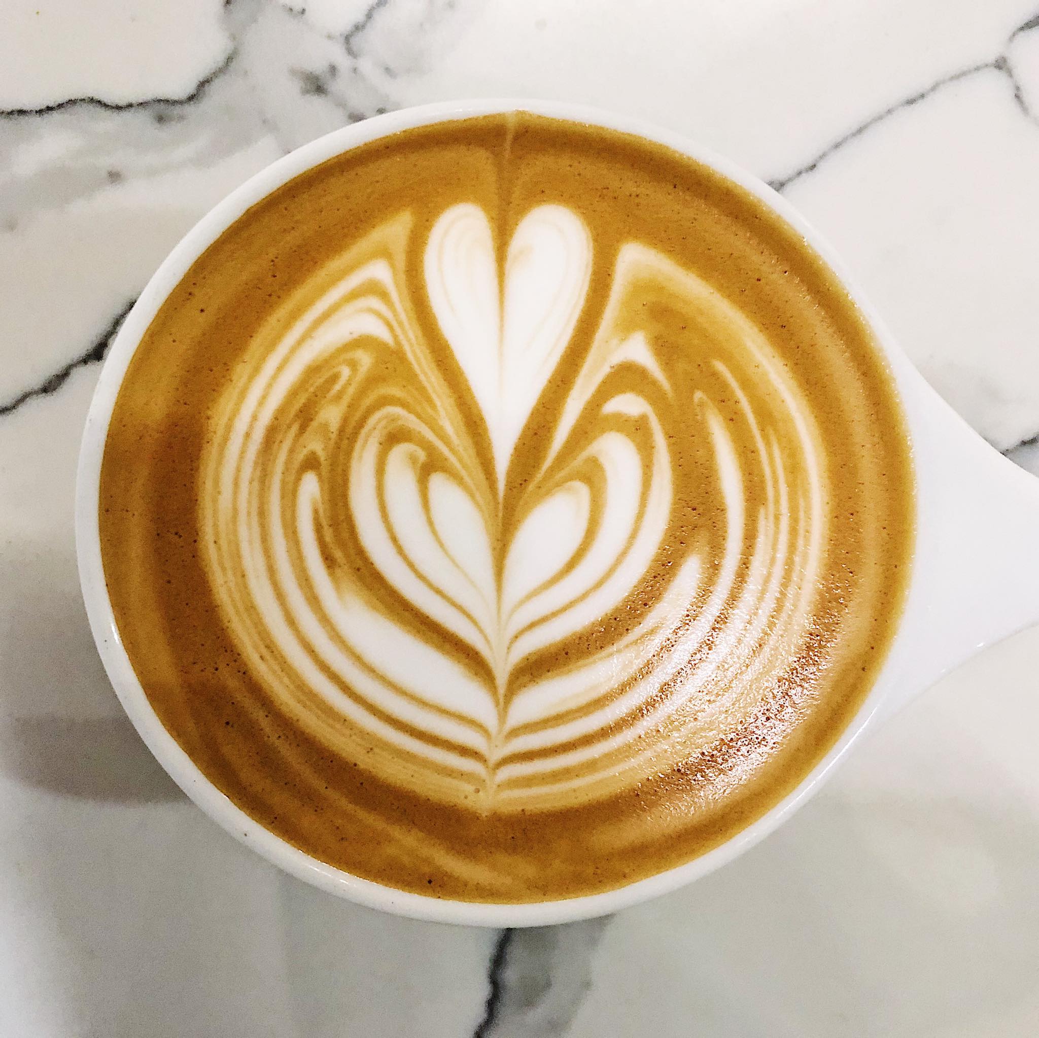 latte art at Silver Grizzly Espresso downtown