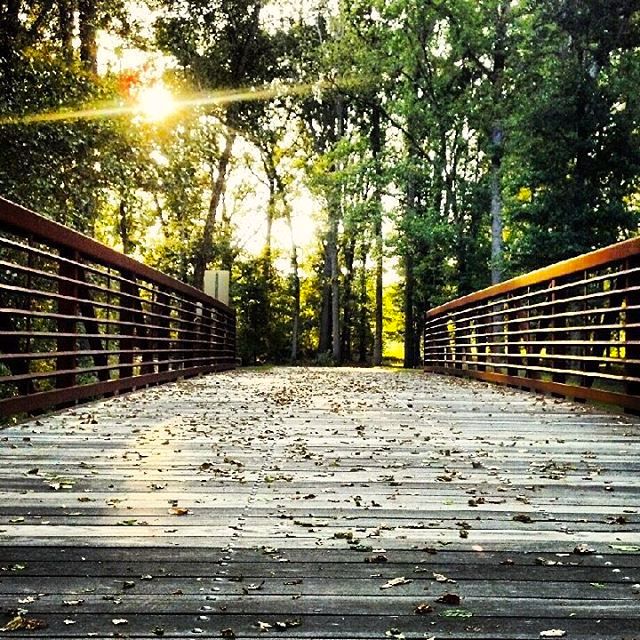 Bridge on Paul Boorman Trail