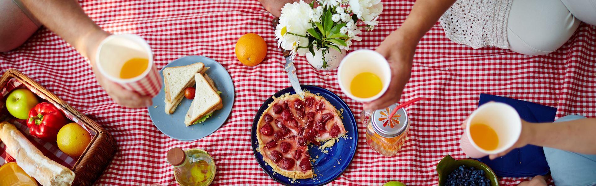 Picnic blanket with food and drinks