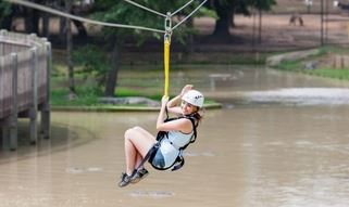 Gator Zipline 