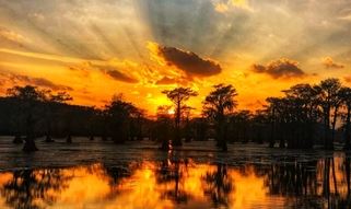 Golden sunset over a cypress-filled bayou, with dramatic rays of sunlight breaking through the cloud