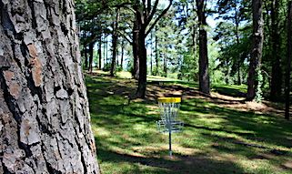 Disc golf at Ingram Park