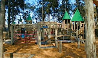 Kidsview Park and the trees