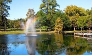 A fountain sprays water at Teague Park pond