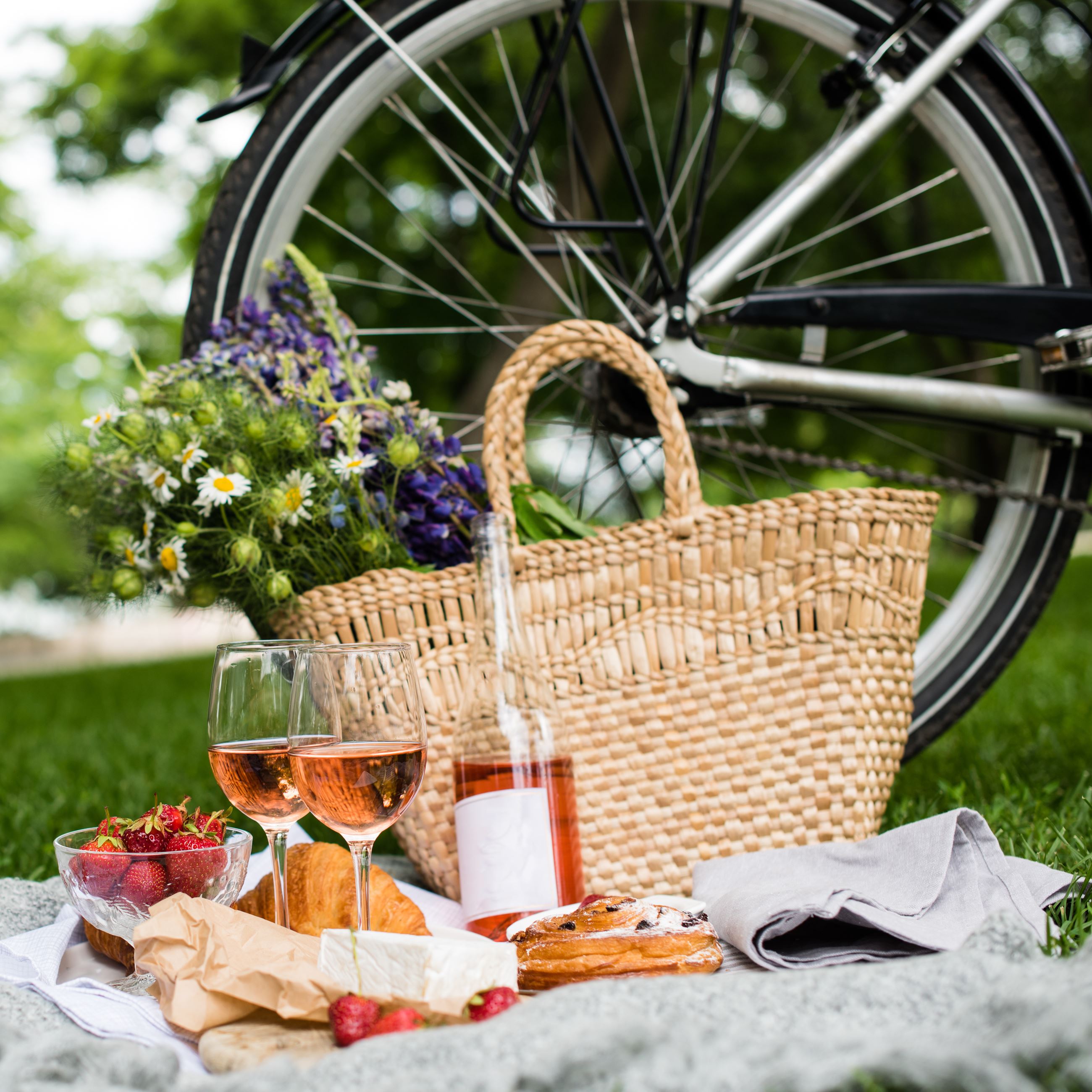 picnic blanket, wine, and a bicycle