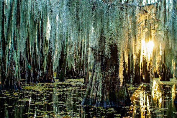 Caddo Lake