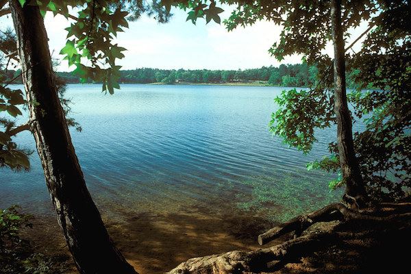 Tyler State Park shore