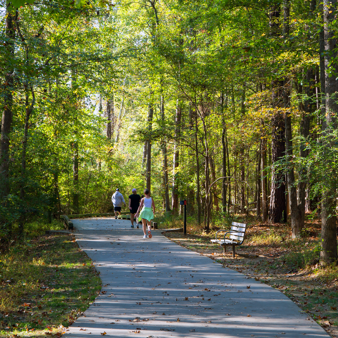Photo of people walking on trail and trees