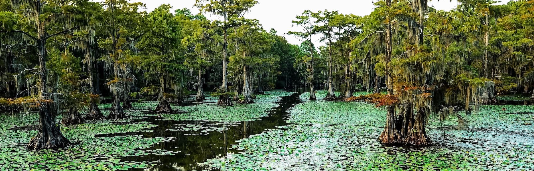 Caddo 1920x600 Opens in new window